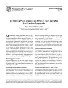 Soil and Crop Management July 2006 SCM-14 Collecting Plant Disease and Insect Pest Samples for Problem Diagnosis