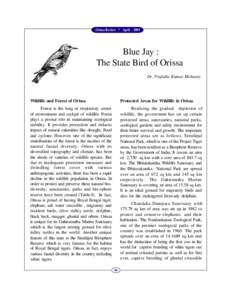 Orissa Review * April[removed]Blue Jay : The State Bird of Orissa Dr. Prafulla Kumar Mohanty