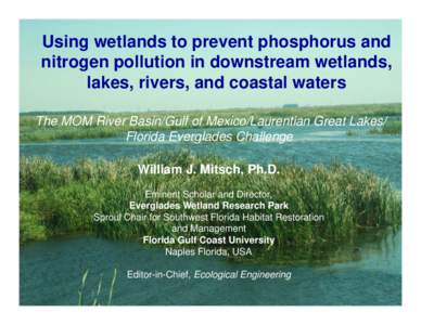 Using wetlands to prevent phosphorus and nitrogen pollution in downstream wetlands, lakes, rivers, and coastal waters The MOM River Basin/Gulf of Mexico/Laurentian Great Lakes/ Florida Everglades Challenge William J. Mit