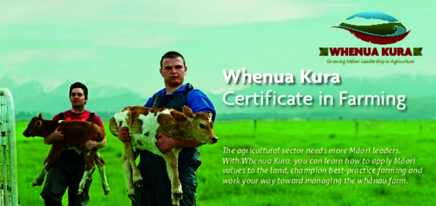 Growing Maori Leadership in Agriculture  Whenua Kura Certificate in Farming  The agricultural sector needs more Māori leaders.