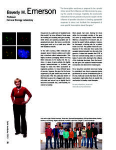 Gene expression / Heterochromatin / Tumor suppressor genes / CTCF / Epigenetics / Chromatin / P16 / Cell nucleus / Heterochromatin protein 1 / Biology / Molecular genetics / Transcription factors