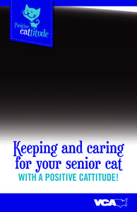 Keeping and caring for your senior cat WITH A POSITIVE CATTITUDE! Welcome to your cat’s golden years!