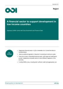 NovemberReport A financial sector to support development in low income countries