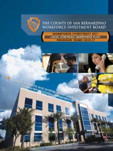 THE COUNTY OF SAN BERNARDINO WORKFORCE INVESTMENT BOARD ( LEA