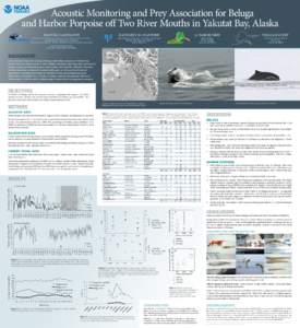   Acoustic Monitoring and Prey Association for Beluga and Harbor Porpoise off Two River Mouths in Yakutat Bay, Alaska MANUEL CASTELLOTE KATHLEEN M. STAFFORD