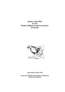 Species Action Plan for the Purple Gallinule Porphyrio porphyrio In Europe  Final Draft, December 1999