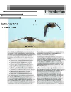 Chapter 1, Introduction, Draft Comprehensive Conservation Plan, 9 North Dakota Wetland Management Districts