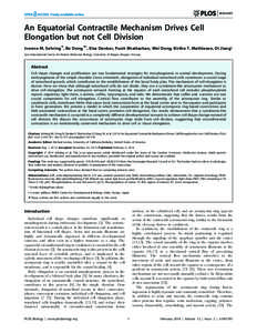 An Equatorial Contractile Mechanism Drives Cell Elongation but not Cell Division Ivonne M. Sehring., Bo Dong.¤, Elsa Denker, Punit Bhattachan, Wei Deng, Birthe T. Mathiesen, Di Jiang* Sars International Centre for Marin