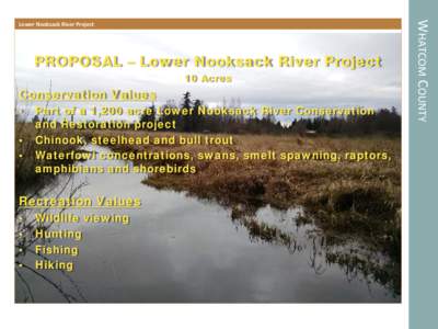 PROPOSAL – Lower Nooksack River Project 10 Acres Conservation Values • •