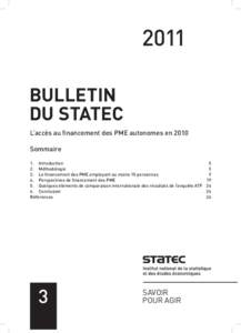 Logo-Statec-Institut-40mm-b-outl