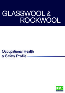 GLASSWOOL & ROCKWOOL Occupational Health & Safety Profile