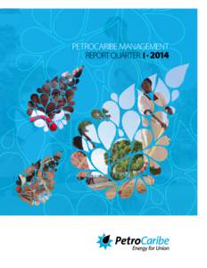 PETROCARIBE MANAGEMENT REPORT QUARTER I • 2014 TABLA DE CONTENIDO 1