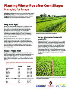 Crops / Staple foods / Cereals / Agricultural soil science / Agronomy / Alfalfa / Rye / Cover crop / Agriculture in the United Kingdom / Agriculture / Food and drink / Land management