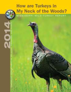 M i s s i s s i p p i D e p a r tm e n t o f W i l d l i f e , F i s h e r i e s , a n d P a r k s[removed]How are Turkeys in My Neck of the Woods? Mississippi Wild Turkey Report