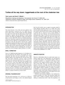 Turtles all the way down: loggerheads at the root of the chelonian tree