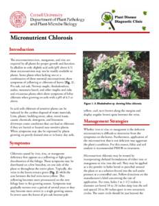 icronutrient Chlorosis M Introduction The micronutrients iron, manganese, and zinc are required by all plants for proper growth and function. In alkaline to only slightly acid soils (pH above 6.5)