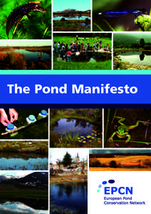 The Pond Manifesto  Contents 1 About this document . . . . . . . . . . . . . . . . . . . . . . . . . . . . . . . . . . 5 2 Why protect ponds? . . . . . . . . . . . . . . . . . . . . . . . . . . . . . . . . . . . .6 2.1 