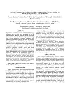 SEGMENTATION OF ANATOMICAL BRANCHING STRUCTURES BASED ON TEXTURE FEATURES AND GRAPH CUT Tatyana Nuzhnaya1, Erkang Cheng2, Haibin Ling2, Despina Kontos3, Predrag R. Bakic3, Vasileios Megalooikonomou1 1