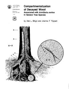 Plant physiology / Trees / Plant anatomy / Compartmentalization of decay in trees / Forest ecology / Armillaria / Bark / Wood / Butt rot / Biology / Botany / Tree diseases