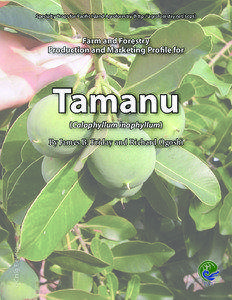 Farm and Forestry Production and Marketing Profile for Tamanu (Calophyllum inophyllum)