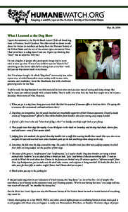May 24, 2010  What I Learned at the Dog Show I spent this weekend at the Myrtle Beach kennel Club’s all-breed dog show in Florence, South Carolina. The club invited me down to talk about the threats its members are fac