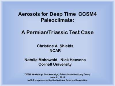 Aerosols for Deep Time CCSM4 Paleoclimate: A Permian/Triassic Test Case Christine A. Shields NCAR Natalie Mahowald, Nick Heavens