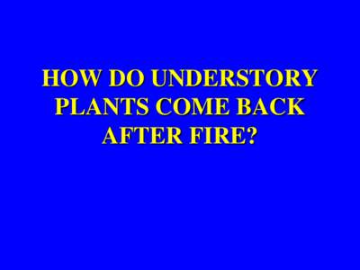 HOW DO UNDERSTORY PLANTS COME BACK AFTER FIRE? BURIED TREASURES: Perennials