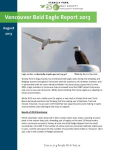 Stanley Park Ecology Society has monitored bald eagle nests during the breeding and fledging seasons throughout Vancouver with the assistance of volunteer monitors and in partnership with the Lower Mainland Wildlife Tree