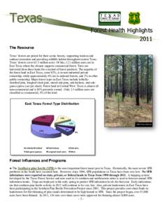 Mountain pine beetle / Oak wilt / Bastrop County Complex fire / Forest / United States Forest Service / Tree of life / Texas wildfires / Biology / Systems ecology / Curculionidae