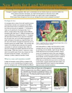 New Tools for Land Management: Putting Ecological Site Descriptions to Use on Your Ranch Changes in rangeland vegetation often seem unpredictable and can directly impact your economic bottom line. When pasture production