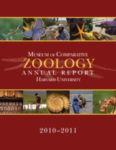 Museum of Comparative  ZOOLOGY ANNUAL REPORT Harvard University