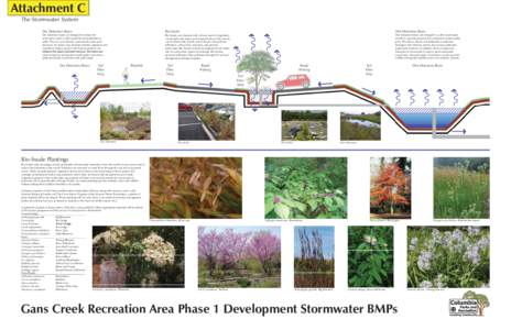 Water / Environmental engineering / Hydrology / Environmental soil science / Landscape / Swale / Stormwater / Detention basin / Bioswale / Water pollution / Environment / Earth