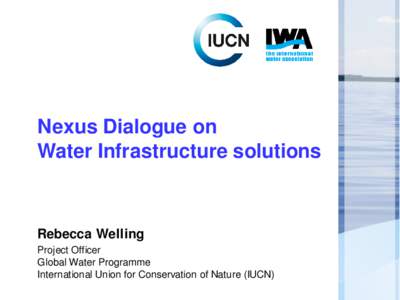 Nexus Dialogue on Water Infrastructure solutions Rebecca Welling Project Officer Global Water Programme