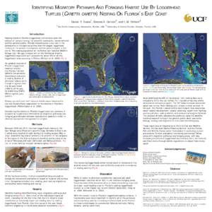 IDENTIFYING MIGRATORY PATHWAYS AND FORAGING HABITAT USE BY LOGGERHEAD TURTLES (CARETTA CARETTA) NESTING ON FLORIDA’S EAST COAST 1 2