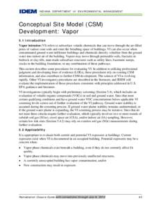 INDIANA DEPARTMENT OF ENVIRONMENTAL MANAGEMENT  Conceptual Site Model (CSM) Development: Vapor 5.1 Introduction