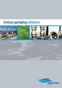 Serious pumping solutions  From the Beginning Axial and Mix Flow Propeller Pumps