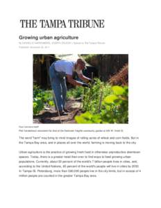 Growing urban agriculture By DANIELLE NIERENBERG, JOSEPH ZELESKI | Special to The Tampa Tribune Published: November 20, 2011 Paul Lamison/staff