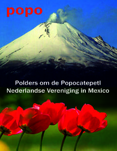 TIJDSCHRIFT VAN DE NEDERLANDSE VERENIGING IN MEXICO    PoPo    Volume 45, No. 6                          november/december 2008 