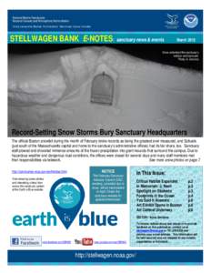 STELLWAGEN BANK E-NOTES: sanctuary news & events  March 2015 Snow entombed the sanctuary’s mailbox and backyard.