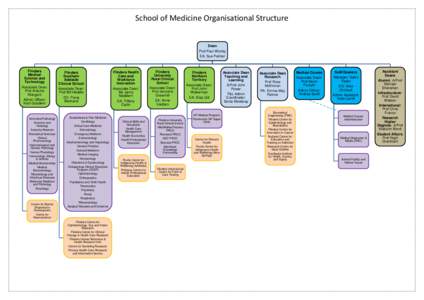 School of Medicine Organisational Structure Dean Prof Paul Worley EA: Sue Palmer  Flinders