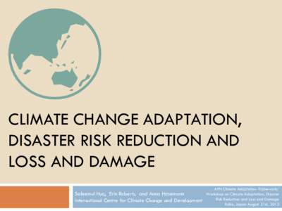 Climate change adaptation, disaster risk reduction and loss and damage