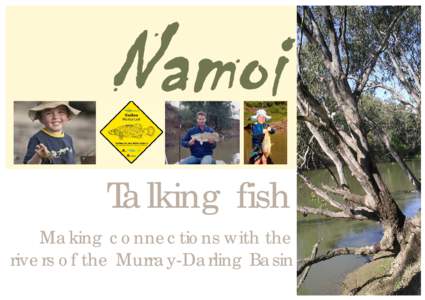 North West Slopes /  New South Wales / Rivers of New South Wales / Fisheries / Namoi River / Freshwater fish of Australia / Percichthyidae / Murray–Darling basin / Murray cod / Boggabri /  New South Wales / Geography of New South Wales / States and territories of Australia / Geography of Australia