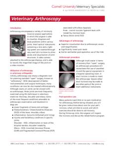 Veterinary Arthroscopy Introduction Arthroscopy encompasses a variety of minimally invasive surgical applications in which the surgeon is able to visualize, diagnose and