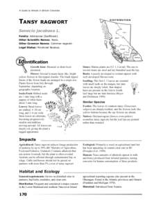 A Guide to Weeds in British Columbia  TANSY RAGWORT