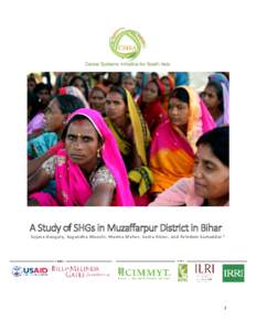 A Study of SHGs in Muzaffarpur District in Bihar Sujata Ganguly, Sugandha Munshi, Mamta Meher, Sonia Akter, and Arindam Samaddar * 1  Table of Content