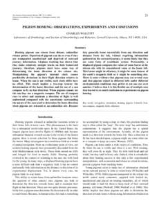 Pigeon racing / Columba / William Tinsley Keeton / Olfactory navigation / Homing pigeon / Magnetoception / Homing / Rock Pigeon / Iron in folklore / Columbiformes / Columbidae / Domestic pigeons