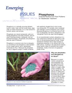 EmergingIssues2-Phosphorus.indd