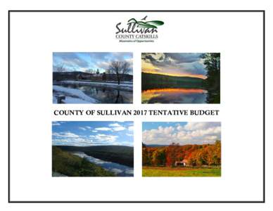 COUNTY OF SULLIVAN 2017 TENTATIVE BUDGET  2017 Tentative Budget for Sullivan County Table of Contents Department