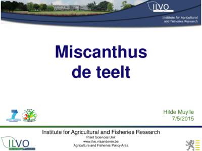 Miscanthus de teelt Hilde MuylleInstitute for Agricultural and Fisheries Research Plant Sciences Unit