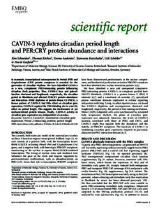 scientific report scientificreport CAVIN-3 regulates circadian period length and PER:CRY protein abundance and interactions Kim Schneider1, Thomas Ko¨cher2, Teemu Andersin1, Teymuras Kurzchalia3, Ueli Schibler1+